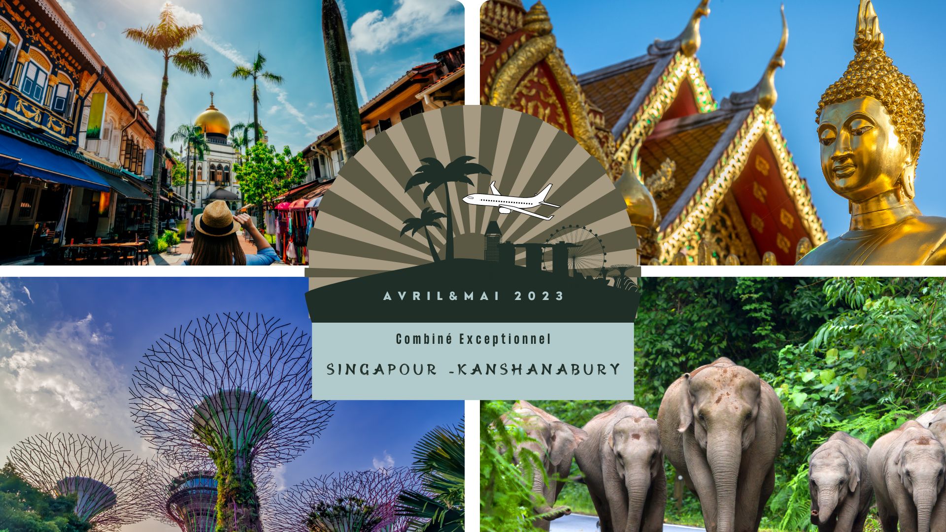 AMEDIDA – 4 GROUPES COMBINE EXCEPTIONNEL SINGAPOUR & KANSHANBURY